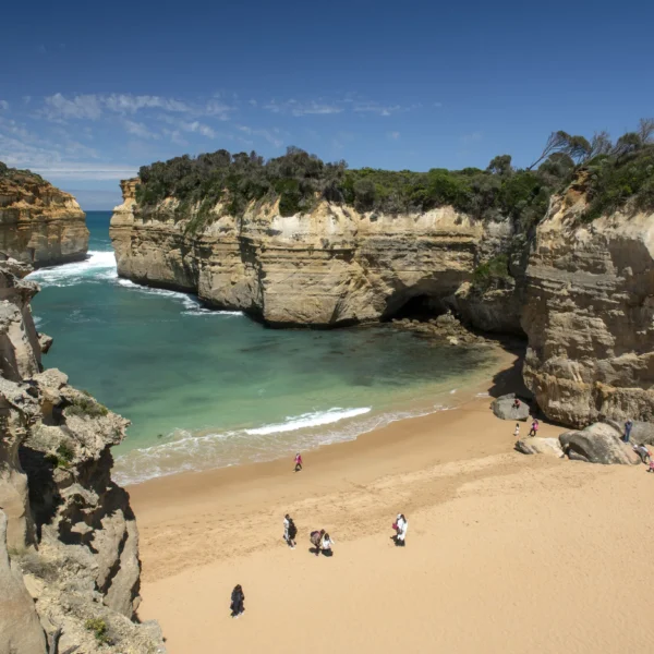 great ocean road 2 day trip