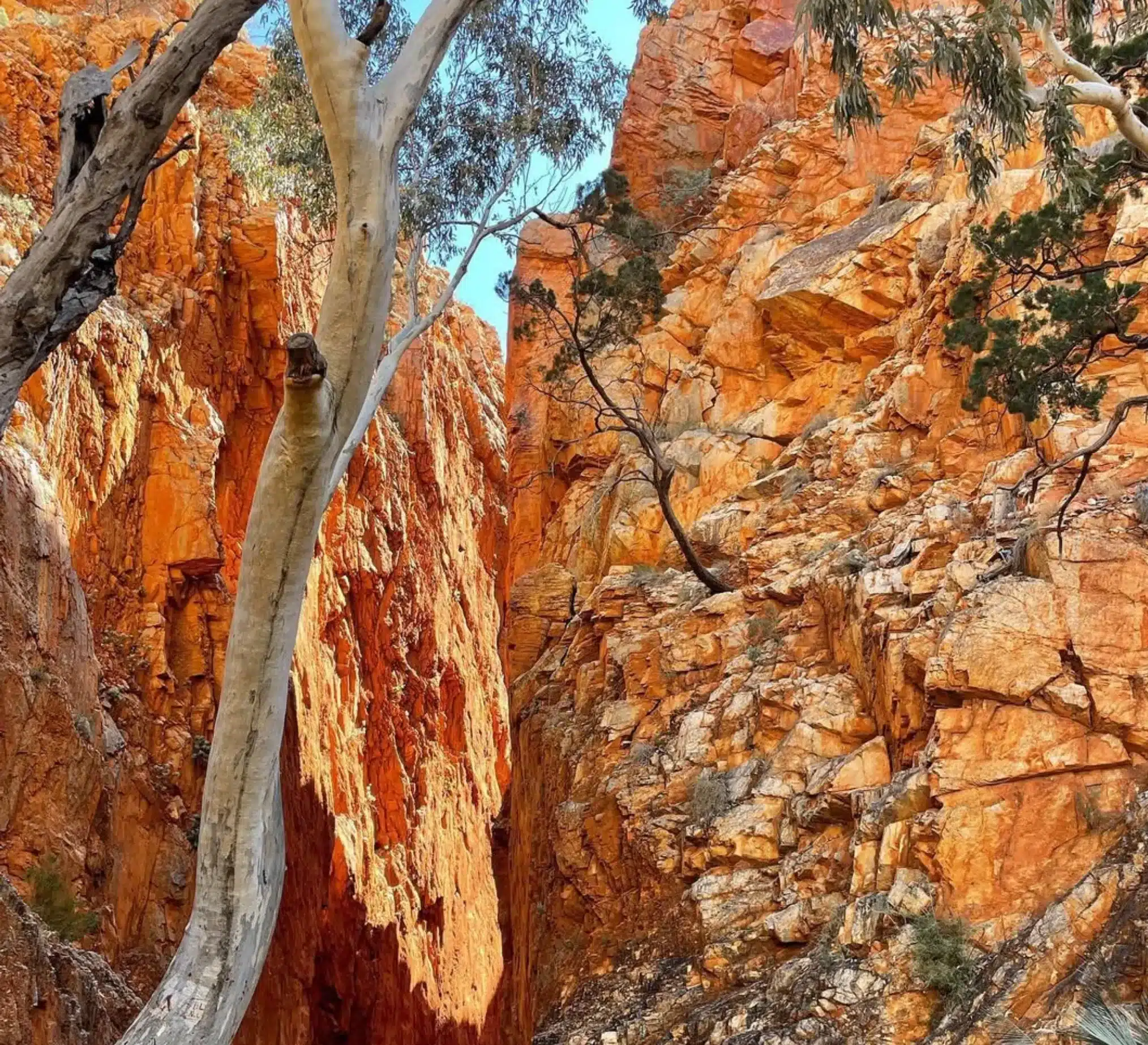 ground temperature in Uluru