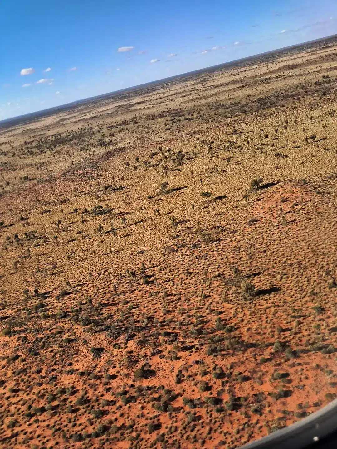 how crowded is the Larapinta Trail in July