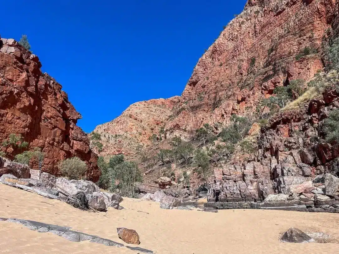 how early to book Larapinta Trail tours