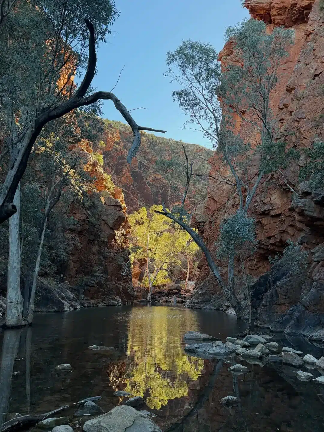 how hard is the Larapinta Trail with a guide