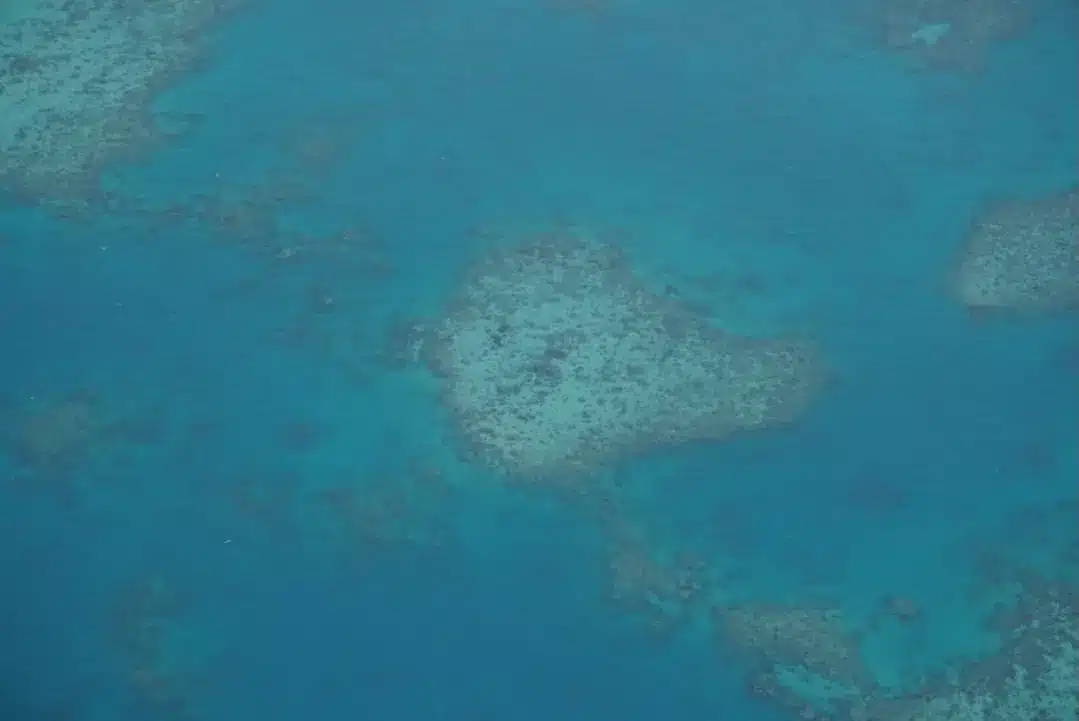 how to visit the Great Barrier Reef sustainably