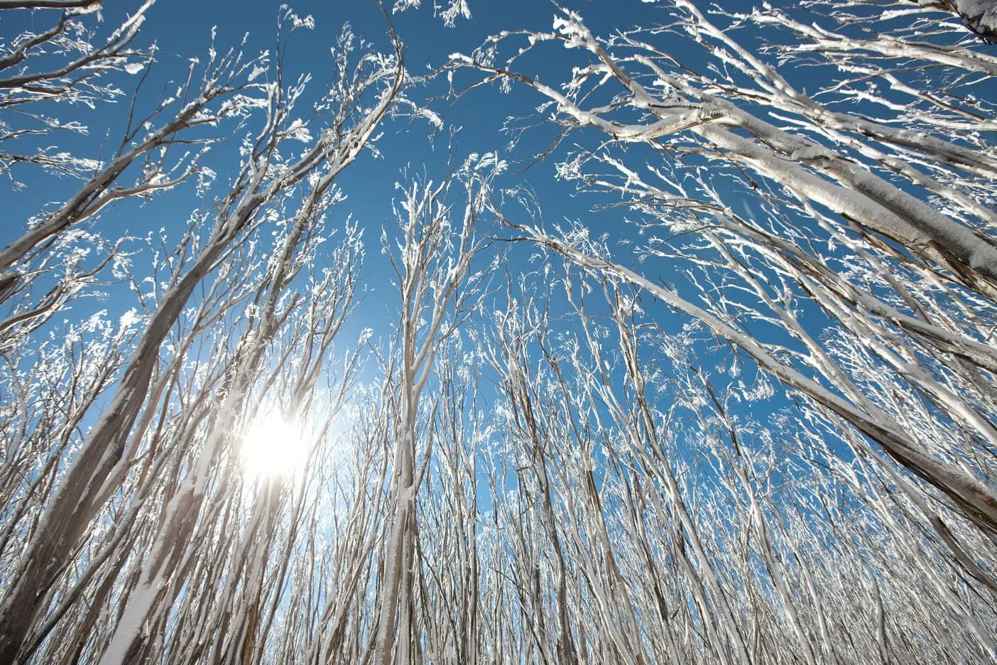 melbourne ski trips