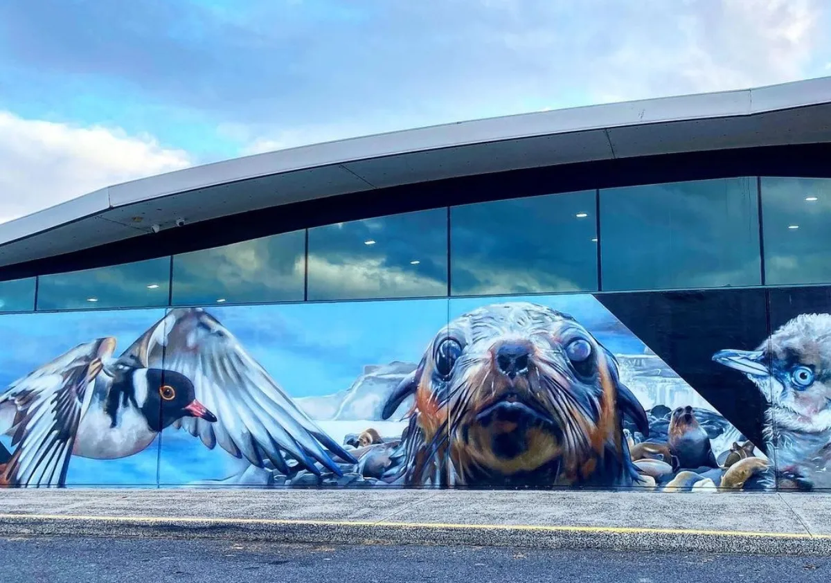 phillip island sightseeing