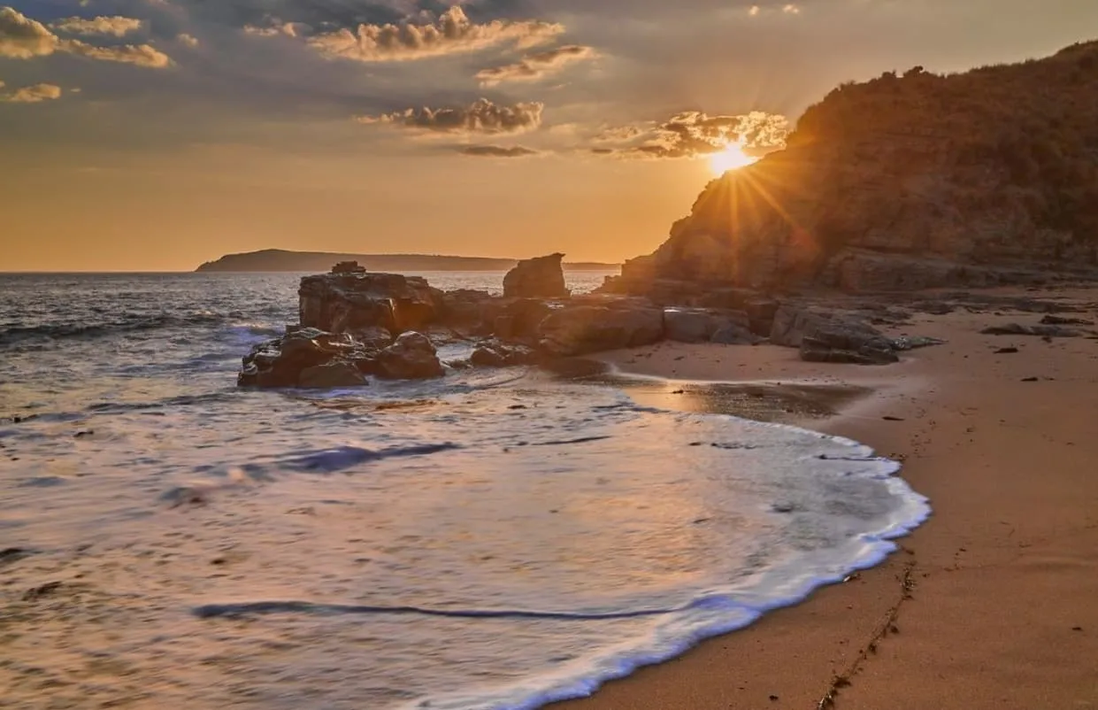 phillip island things to do