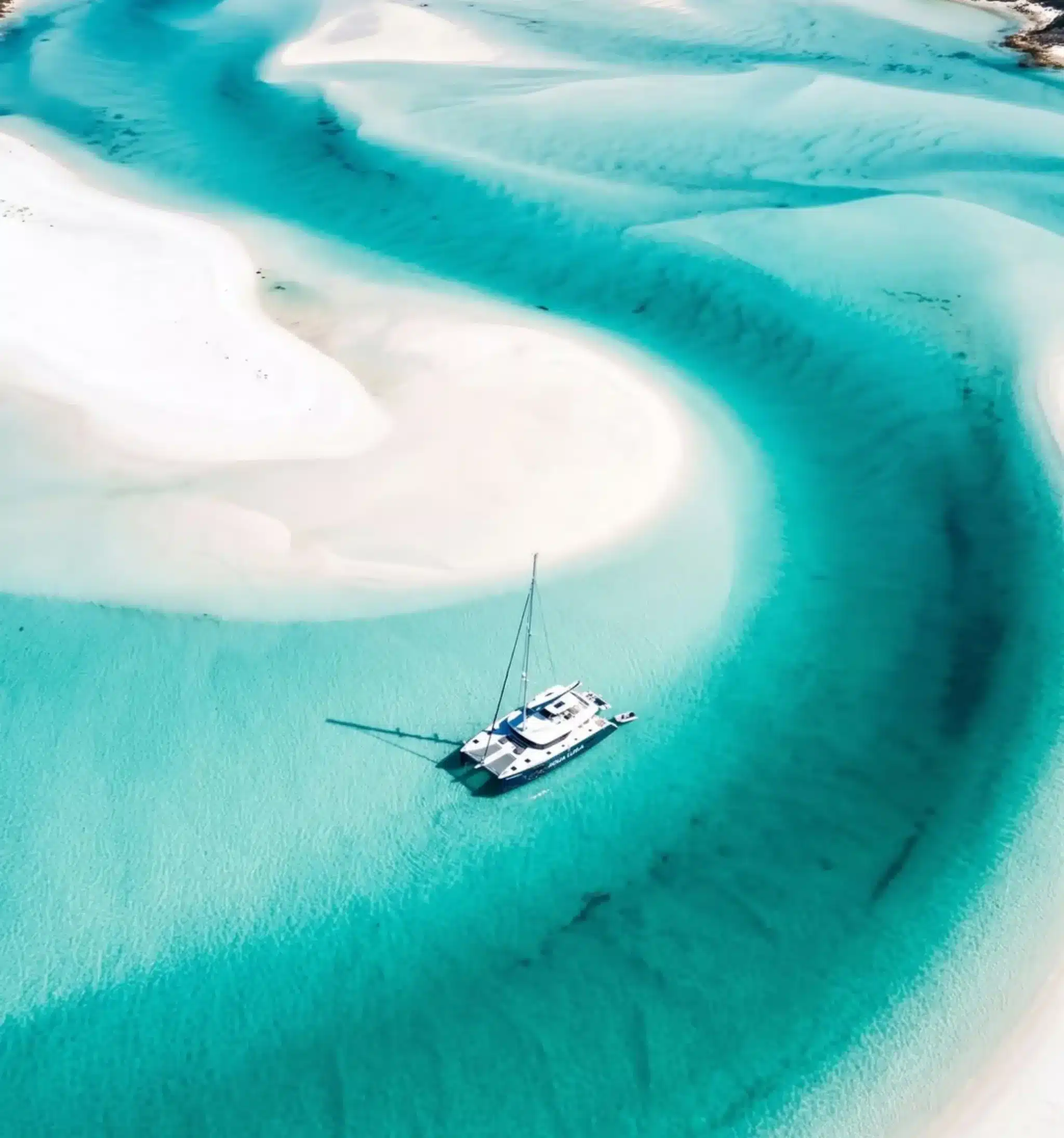 reef conservation activities for tourists