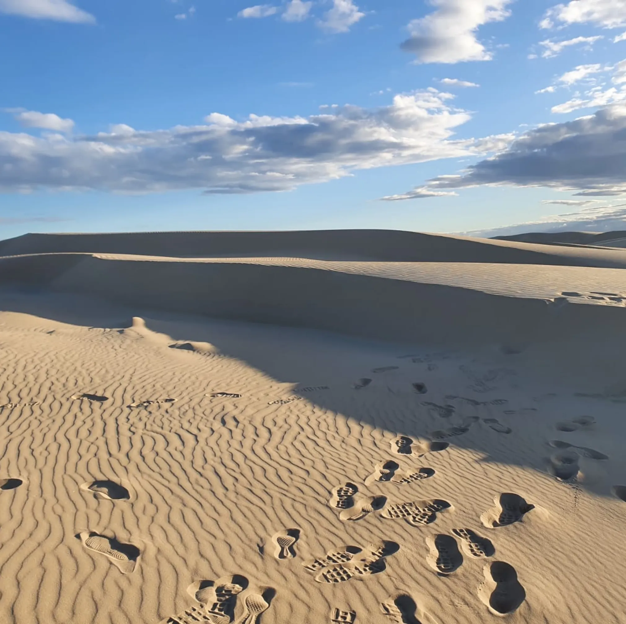 sandboarding in the Right Season