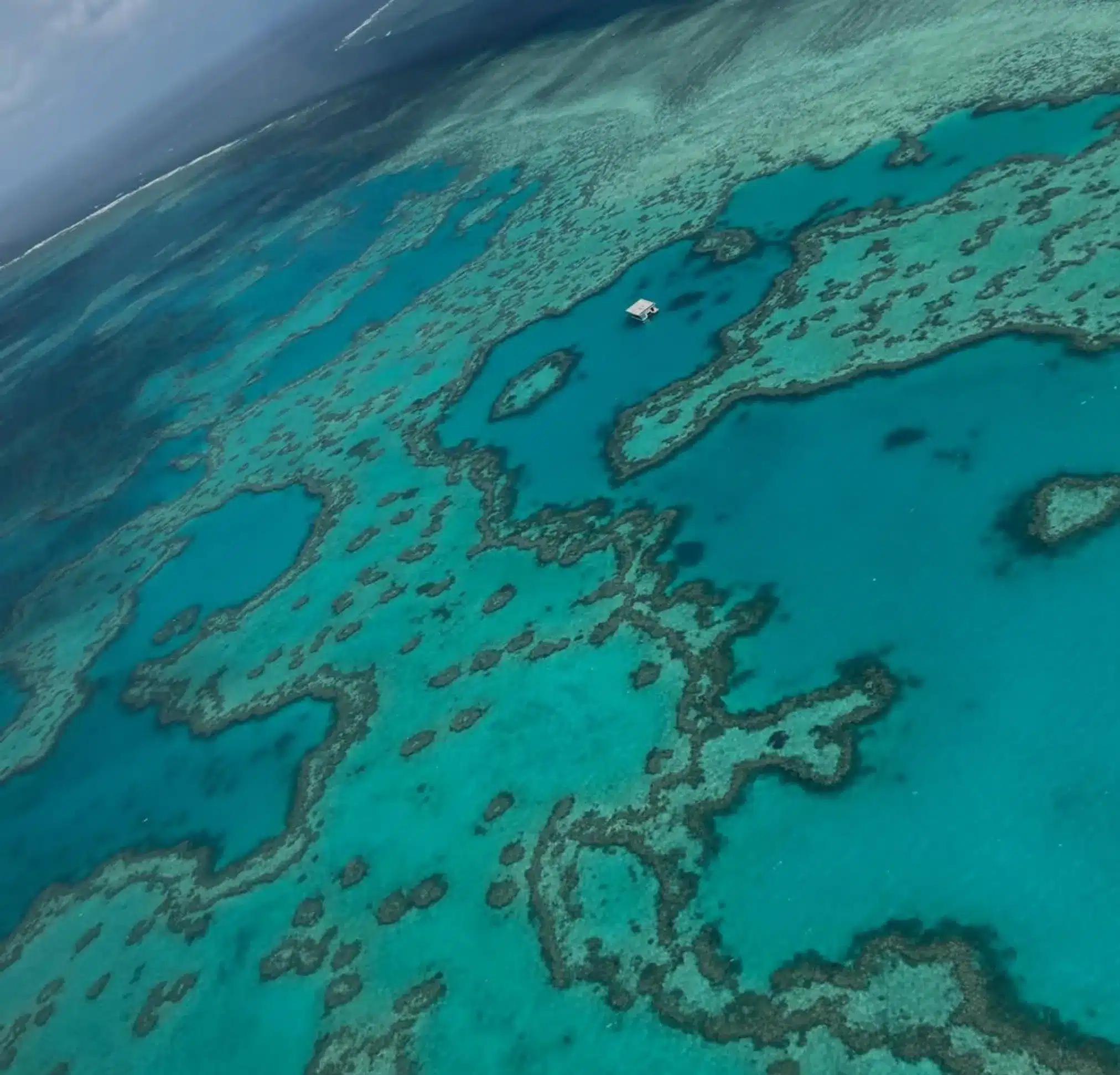 snorcle in the great barrier reef