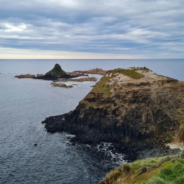 things to do around phillip island
