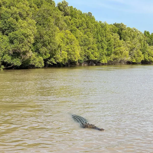 things to do near Darwin