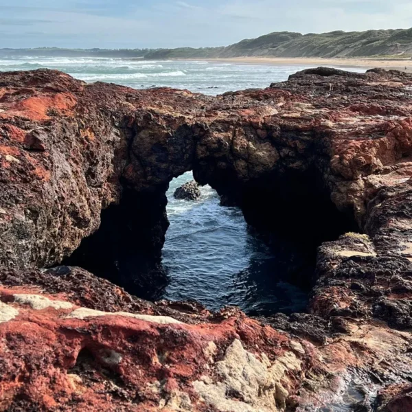 things to do near phillip island
