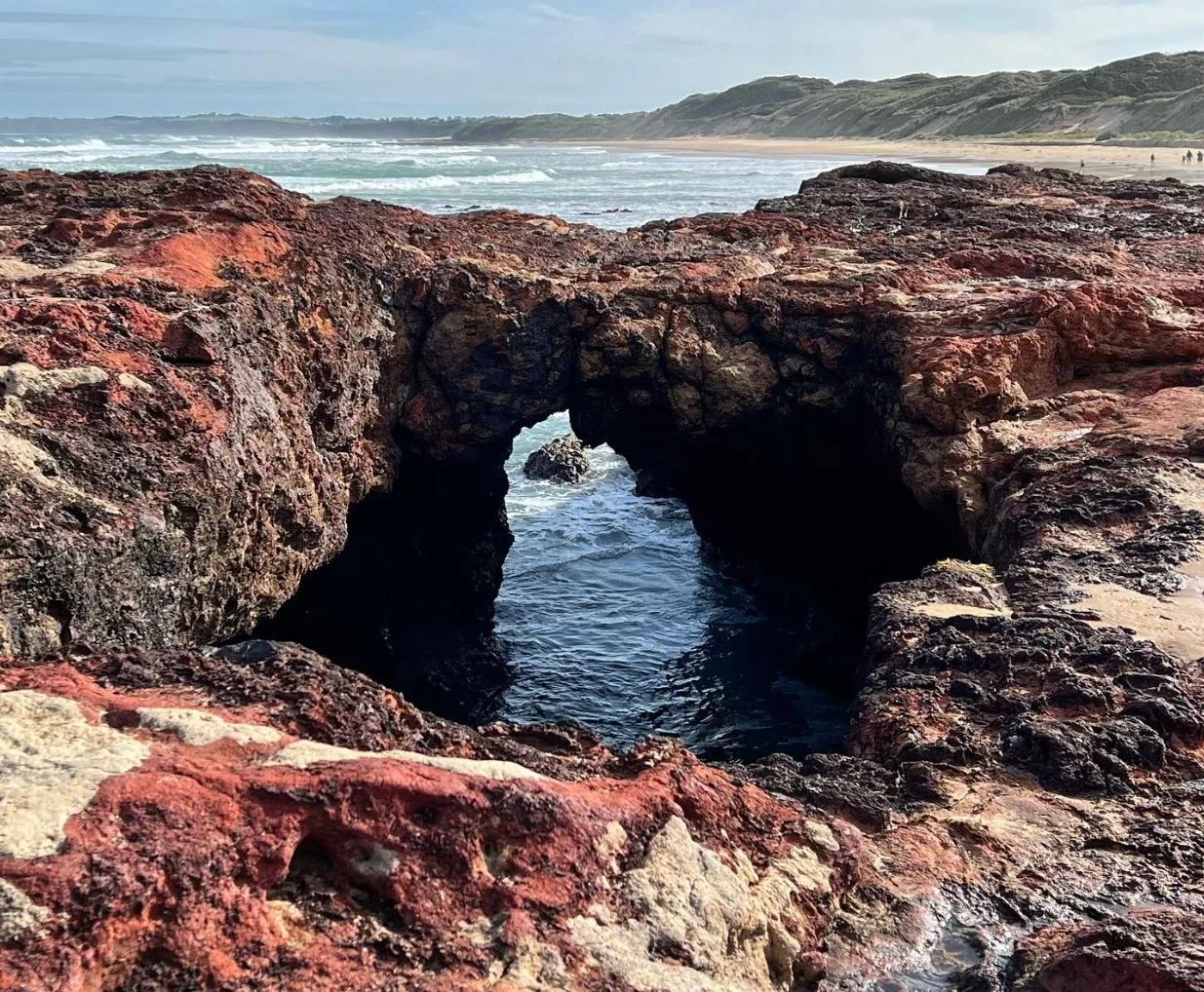 things to do near phillip island