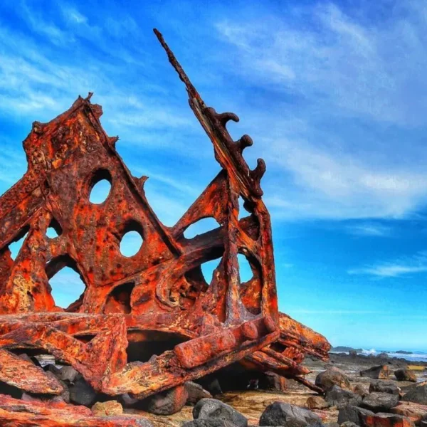 things to do on phillip island victoria