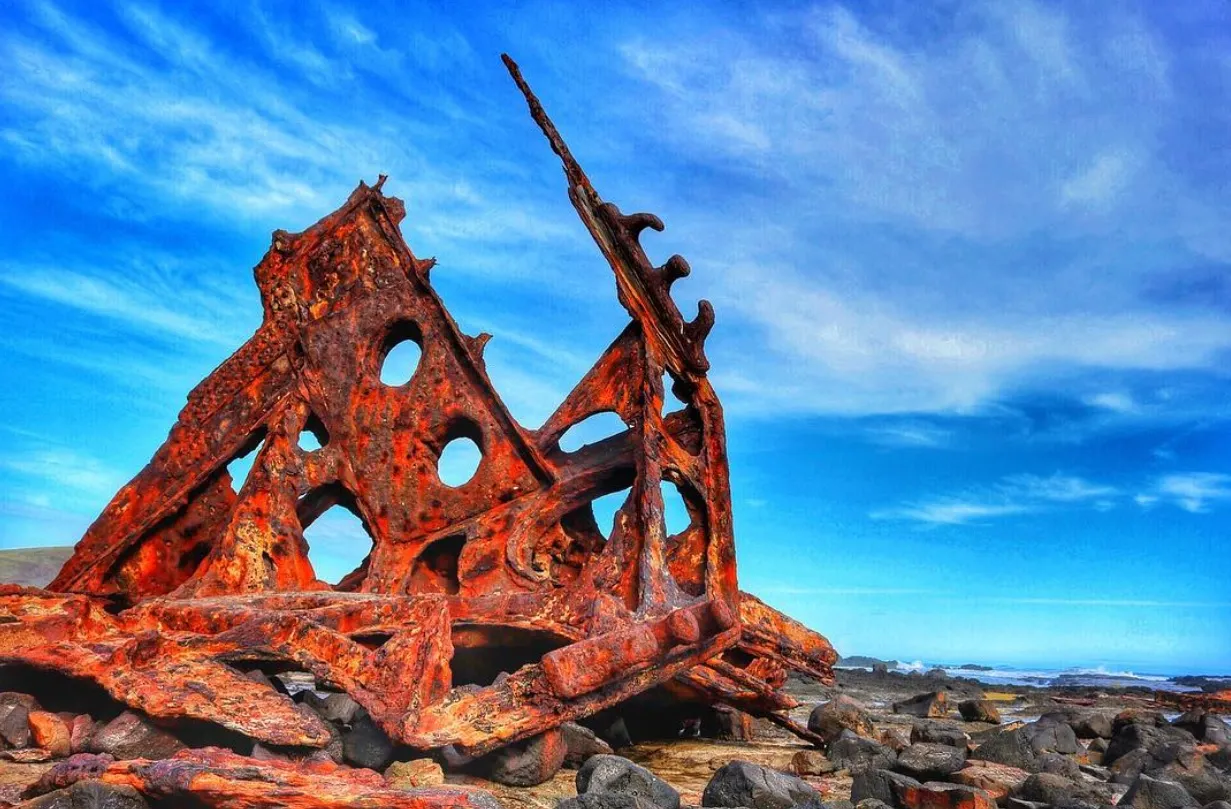 things to do on phillip island victoria