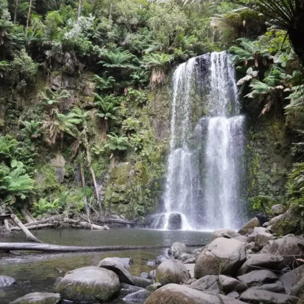 things to do otways
