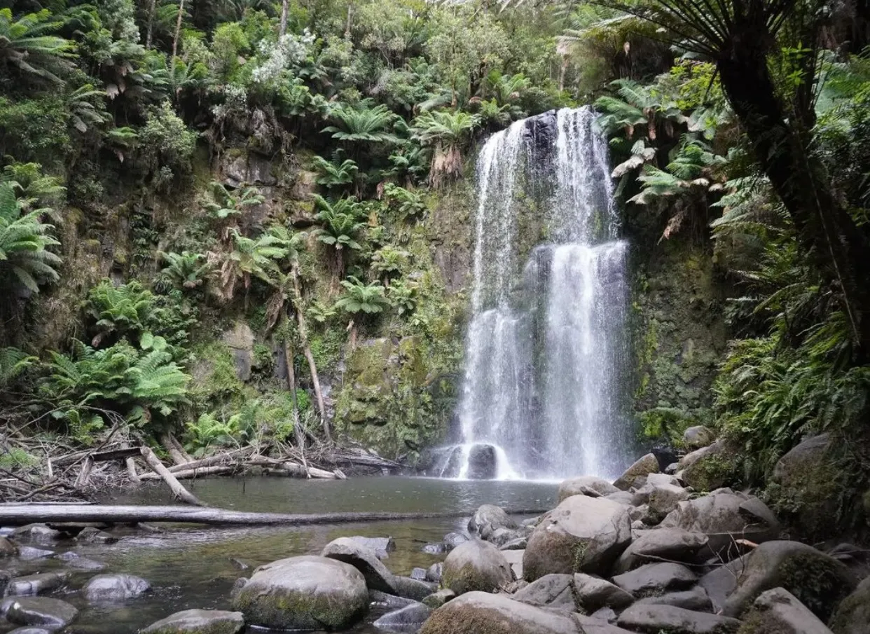 things to do otways