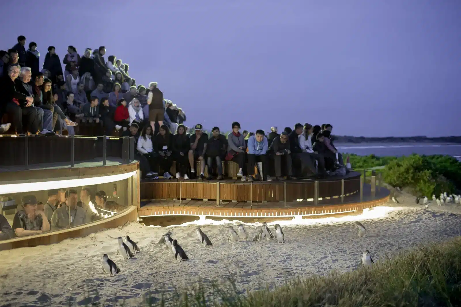 things to do phillip island