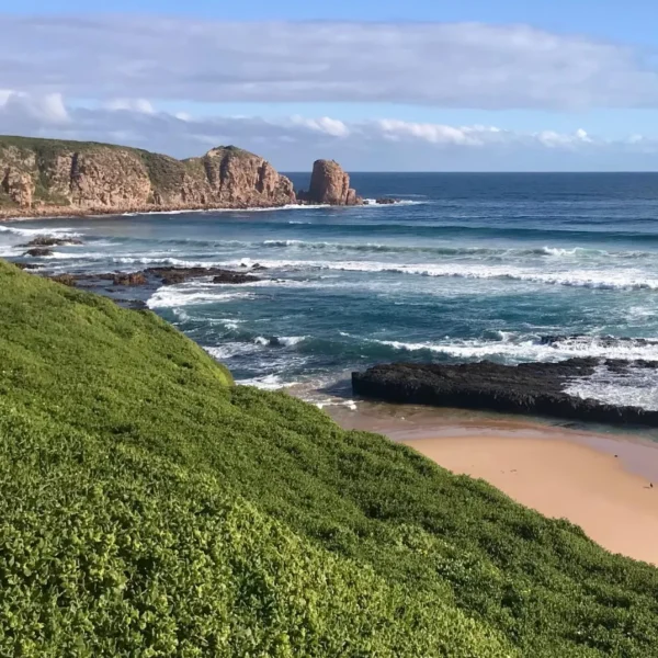 things to see in phillip island