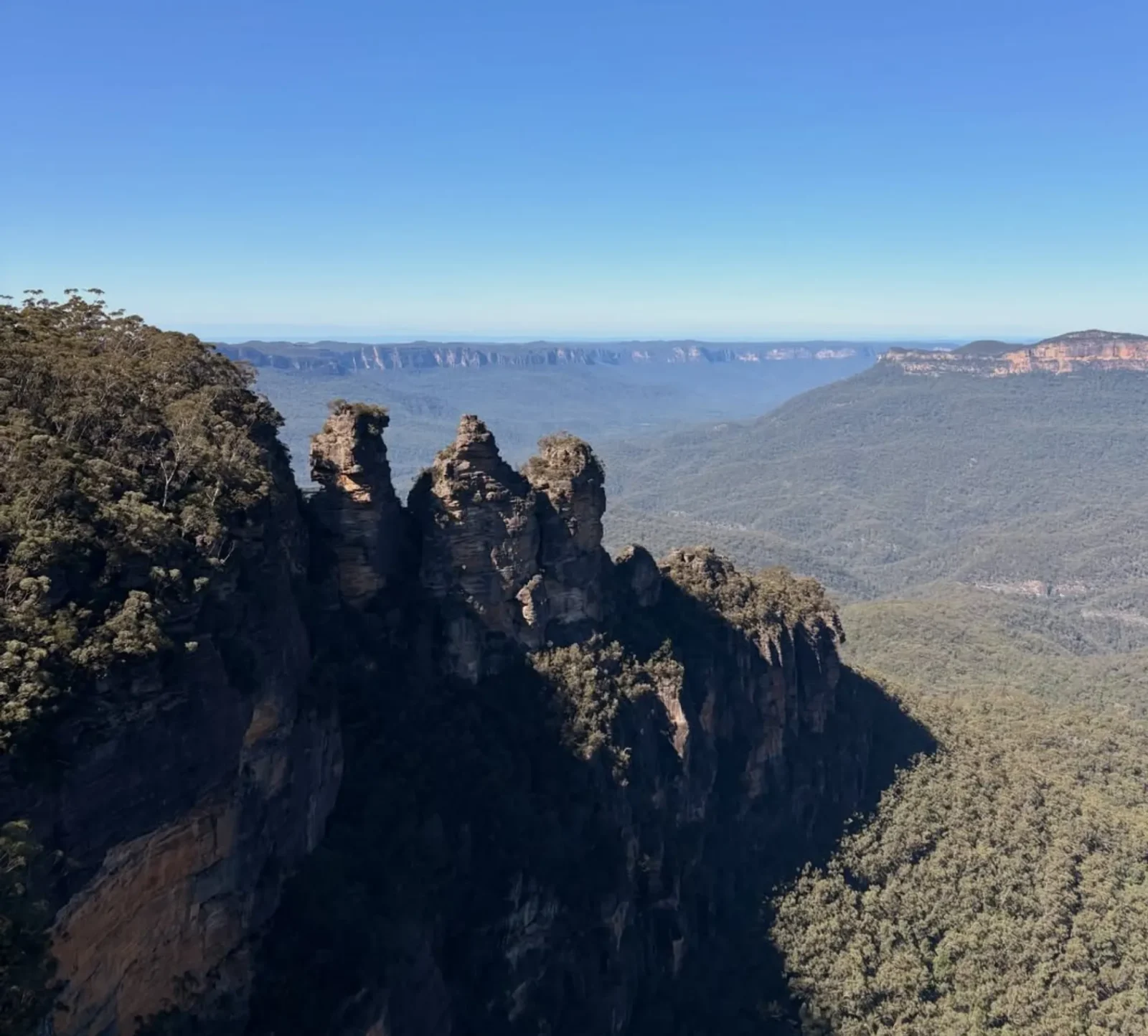 wildlife safaris in the Blue Mountains