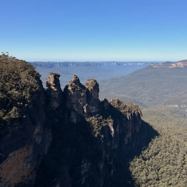 wildlife safaris in the Blue Mountains
